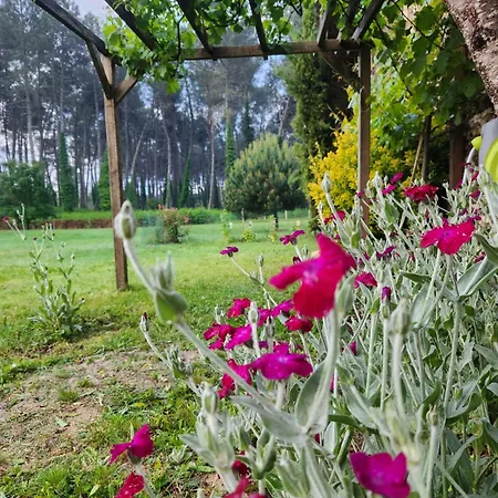 Sous Les Pins La Grange A Deux Holiday home