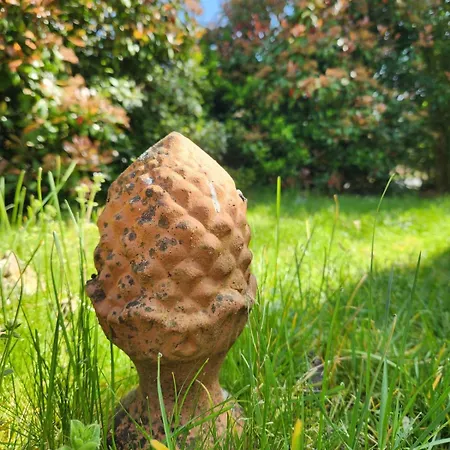 Sous Les Pins La Grange A Deux Giscos