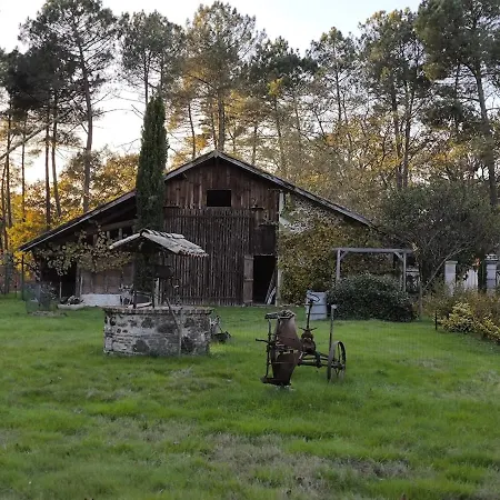 Ferienhaus Sous Les Pins La Grange A Deux Giscos