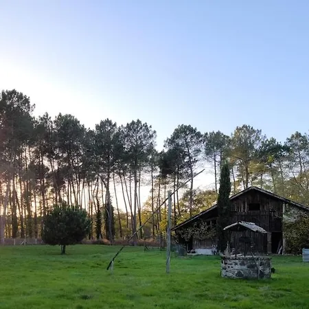 Sous Les Pins La Grange A Deux Holiday home *
