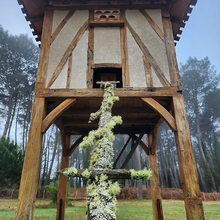Sous Les Pins La Grange A Deux * Giscos