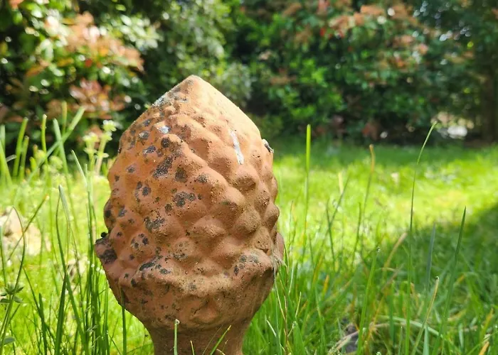 Gite Sous Les Pins La Grange A Deux Giscos