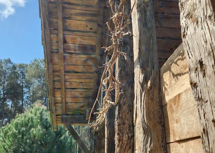 Gite Sous Les Pins La Grange A Deux * Giscos